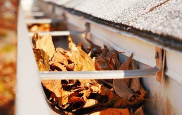 Roch gutter cleaning companies