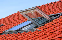 Roch roof window